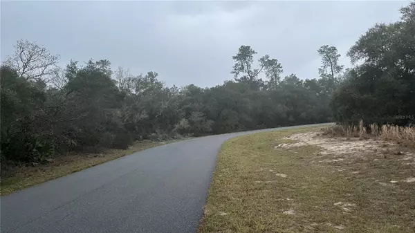 SW 176TH LOOP, Ocala, FL 34473