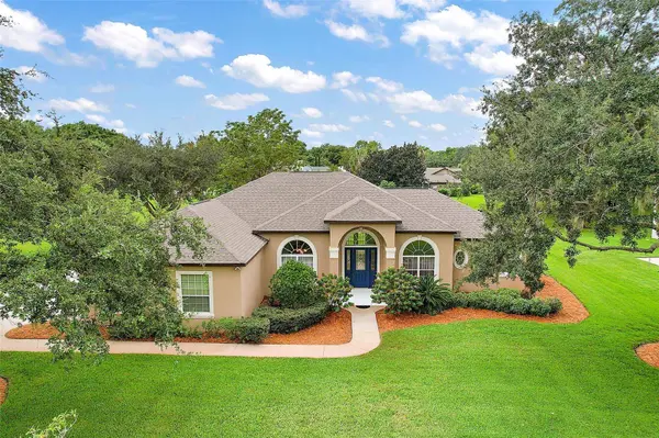 27425 HAMMOCK VIEW DR, Yalaha, FL 34797