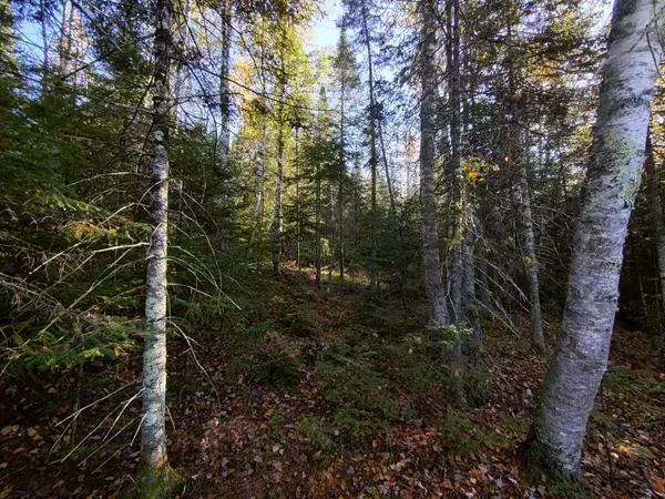 5xxxN ARROWHEAD RD, Mercer, WI 54547