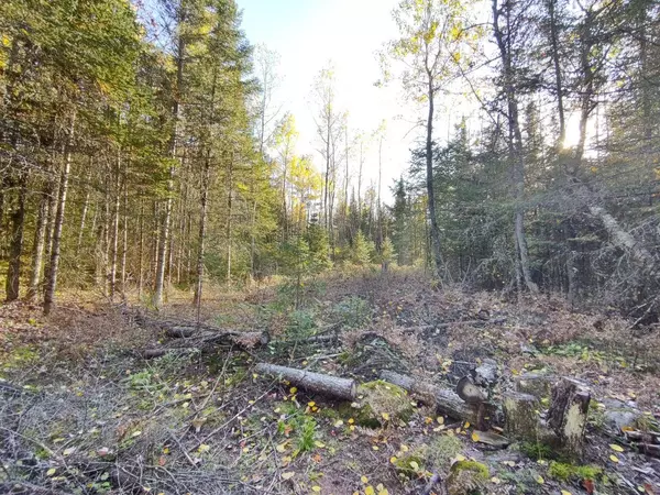 5xxxN ARROWHEAD RD, Mercer, WI 54547