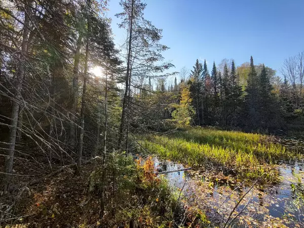 5xxxN ARROWHEAD RD, Mercer, WI 54547