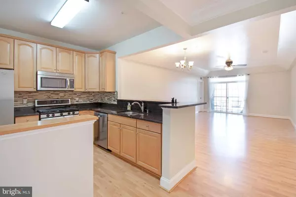 8616 WINTERGREEN CT #308, Odenton, MD 21113