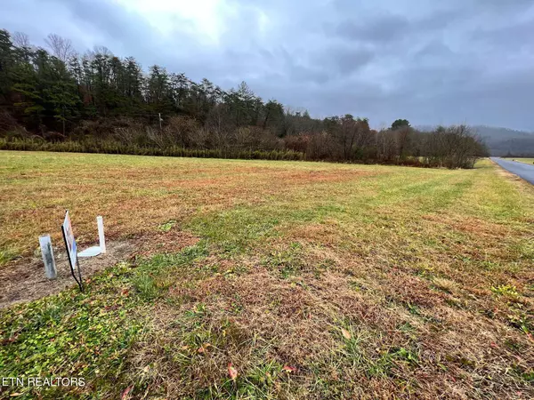 3591-3595 River Crest Way, Del Rio, TN 37727