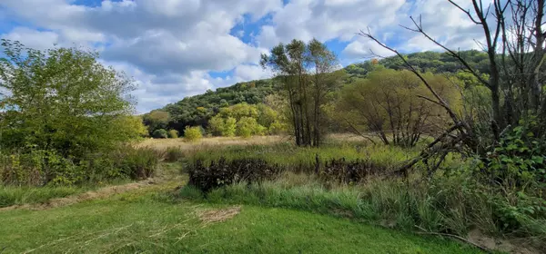 6719 Booth Hollow Road, Avoca, WI 53506