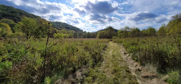 6719 Booth Hollow Road, Avoca, WI 53506