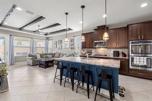 29154 PERILLI PL, Wesley Chapel, FL 33543