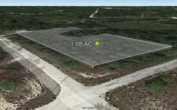 OCTAVIA LN, Webster, FL 33597