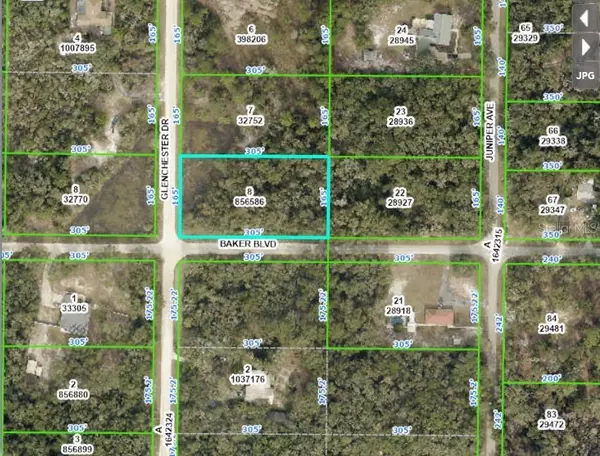 BAKER BLVD, Webster, FL 33597