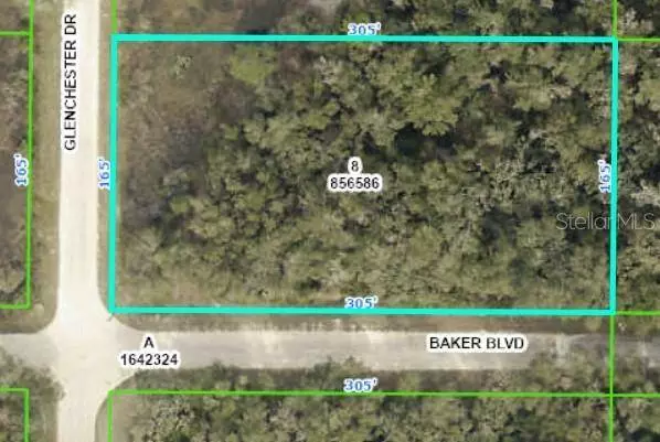 BAKER BLVD, Webster, FL 33597