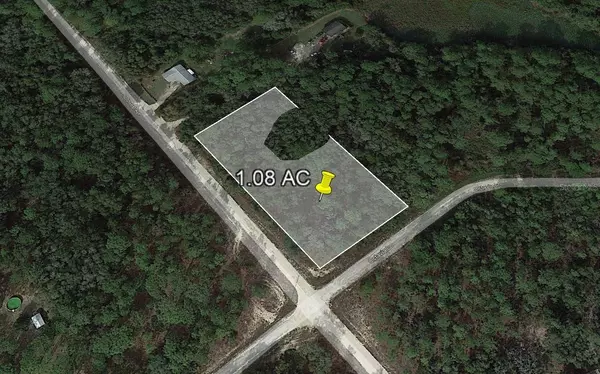 OCTAVIA LN, Webster, FL 33597