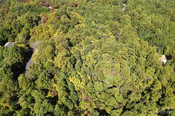 219 Peseco DR, Bostic, NC 28018