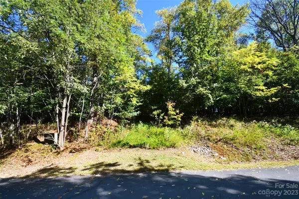 219 Peseco DR, Bostic, NC 28018