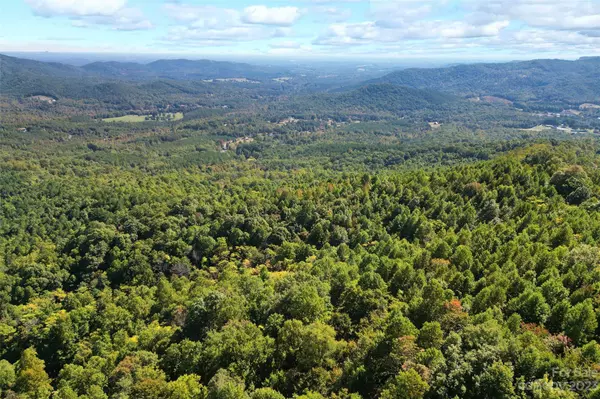 219 Peseco DR, Bostic, NC 28018