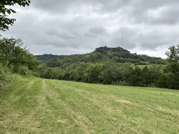 0 Nabors Hollow Lane, Hickman, TN 38567