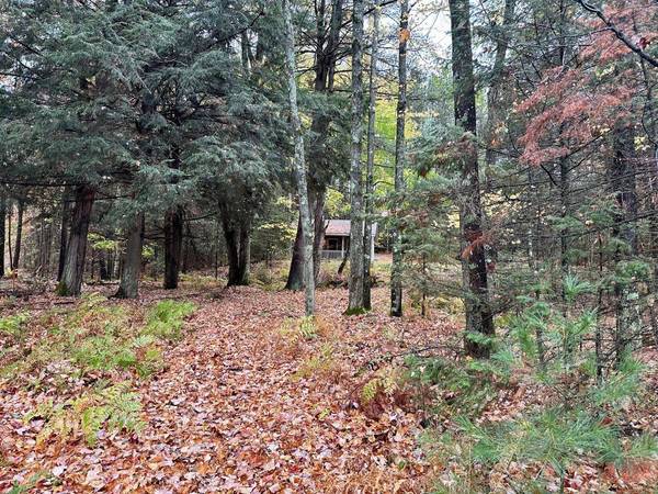 5251 MIRROR VIEW LN, Rhinelander, WI 54501