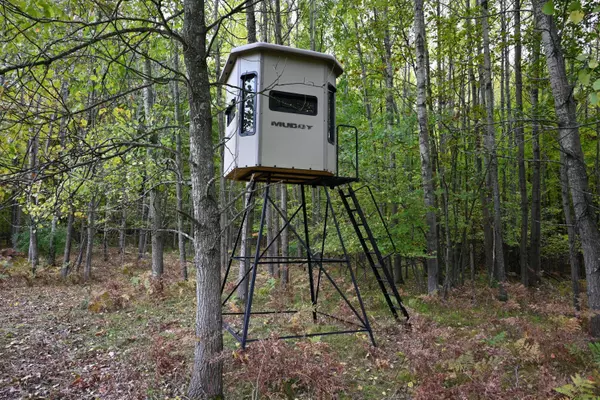 16309 12 Mile Road Road, Big Rapids, MI 49307