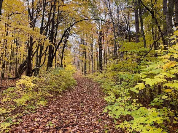 17495 FR 404B, Drummond, WI 54832