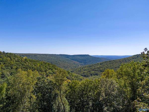 159 Winterview Drive, Gurley, AL 35748