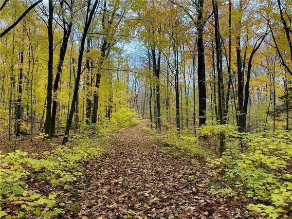 17495 FR 404B, Drummond, WI 54832