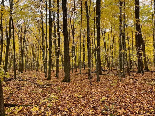 17495 FR 404B, Drummond, WI 54832