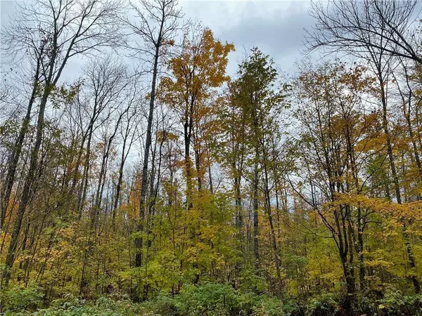 17495 FR 404B, Drummond, WI 54832