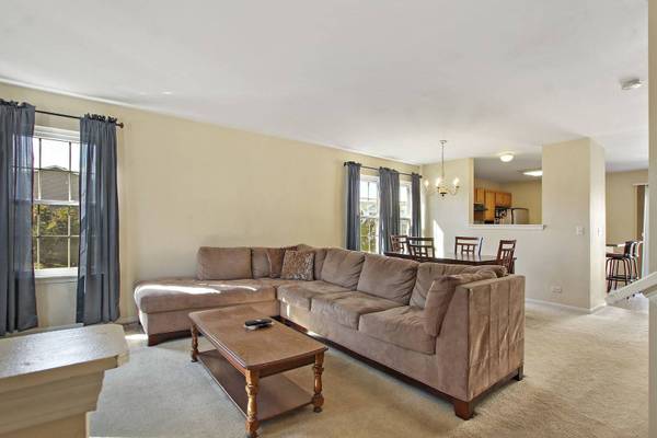 44 W Big Horn DR, Hainesville, IL 60073