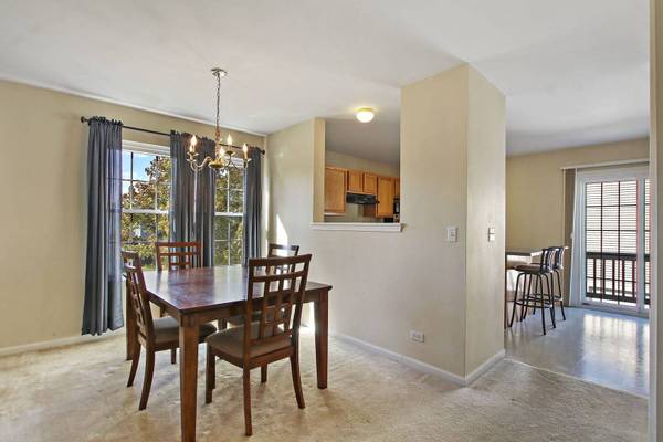 44 W Big Horn DR, Hainesville, IL 60073