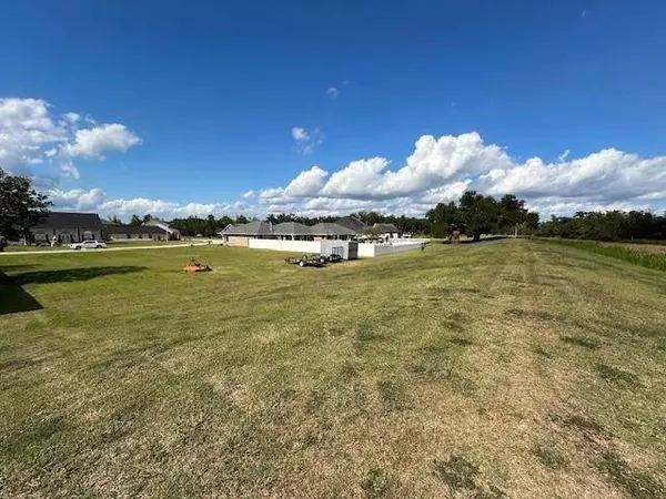 221 BEAU PL, Des Allemands, LA 70030