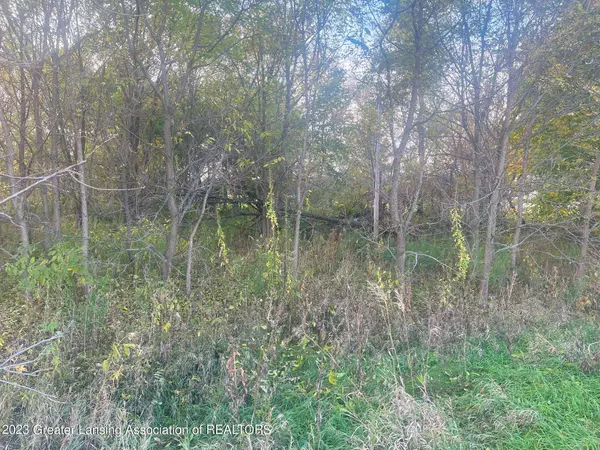 Springport, MI 49284