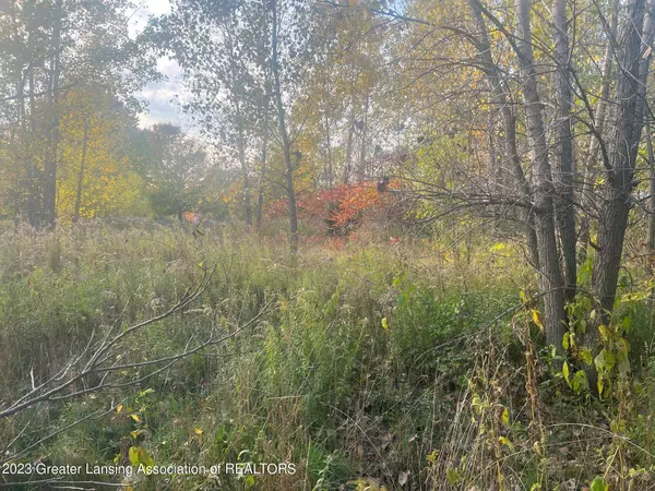 Springport, MI 49284