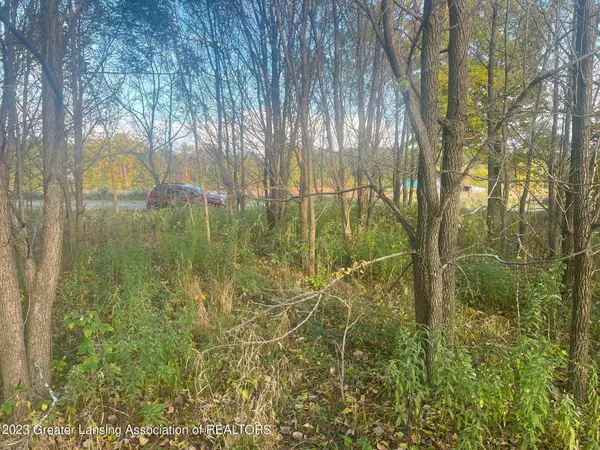 Springport, MI 49284