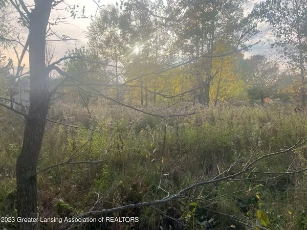 Springport, MI 49284