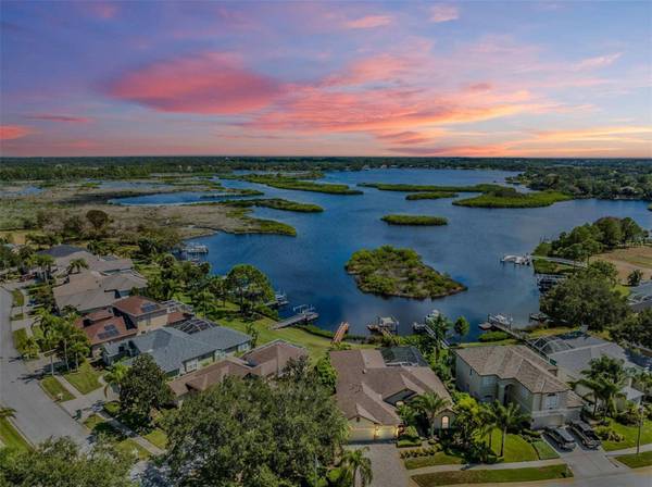 1893 RIVEREDGE DR, Tarpon Springs, FL 34689