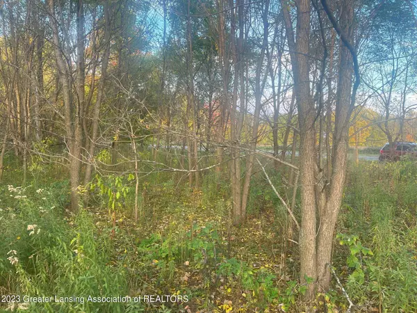 Springport, MI 49284