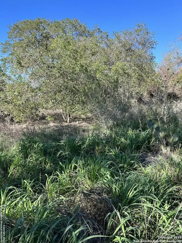 22685 Alanwood Dr, San Antonio, TX 78264