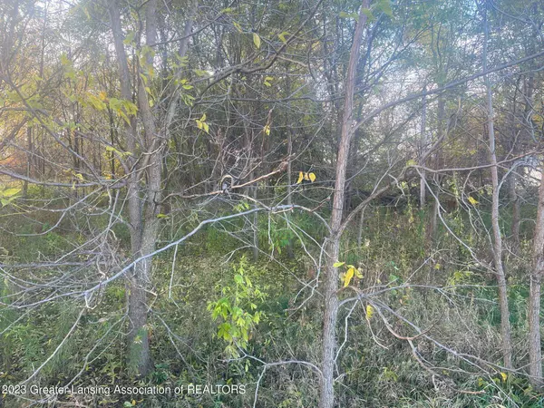 Springport, MI 49284