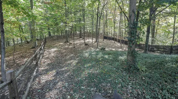 1907 Woodlands Place, Powell, OH 43065