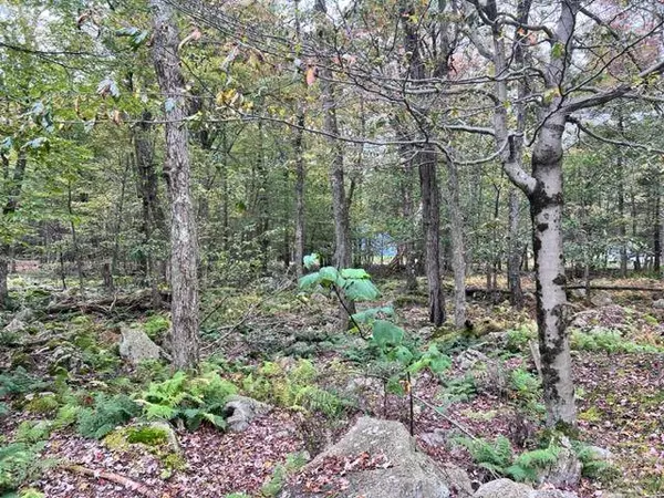 1047 Emerald Avenue, Wayne County, PA 18424