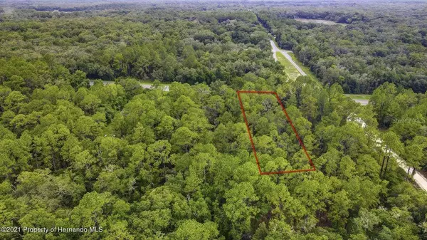 0 (7374) TREIMAN BLVD, Webster, FL 33597