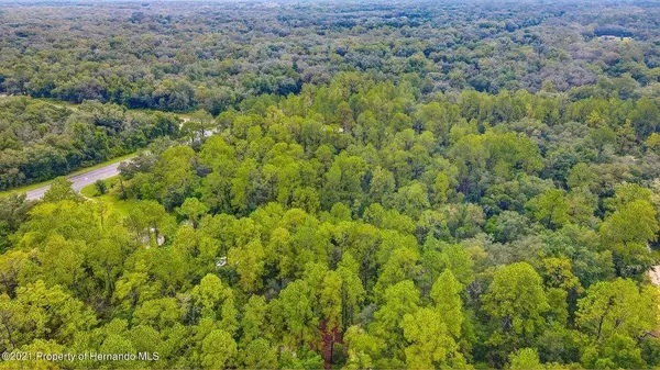 0 (7374) TREIMAN BLVD, Webster, FL 33597