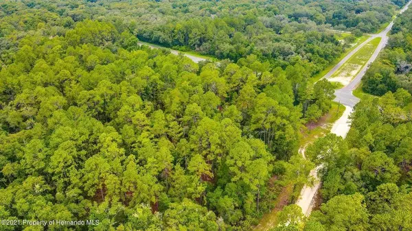 0 (7374) TREIMAN BLVD, Webster, FL 33597