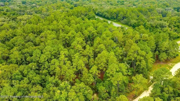 0 (7374) TREIMAN BLVD, Webster, FL 33597