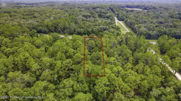 0 (7382) TREIMAN BLVD, Webster, FL 33597