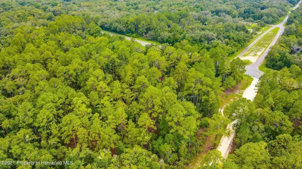 0 (7382) TREIMAN BLVD, Webster, FL 33597