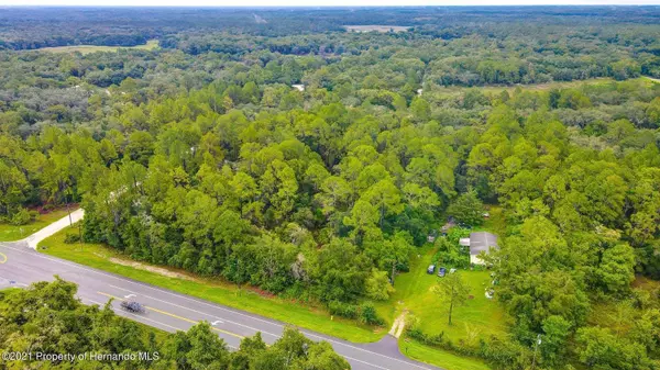 0 (7382) TREIMAN BLVD, Webster, FL 33597