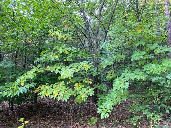 1855 Columbus Street, Holland, MI 49424