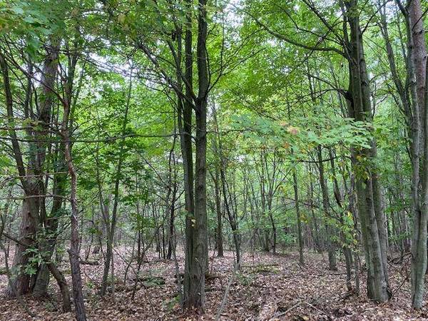 1855 Columbus Street, Holland, MI 49424