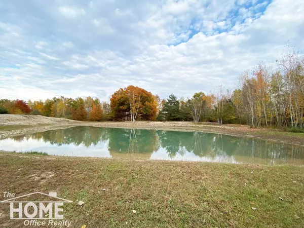 19284 W Brady Road, Elsie, MI 48831