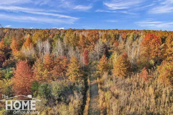 19284 W Brady Road, Elsie, MI 48831