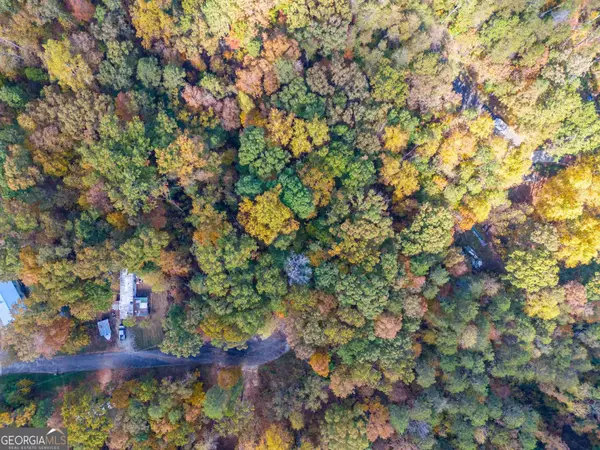 67 Cottonwood Ct, Martin, GA 30557